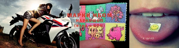прущие грибы Белокуриха