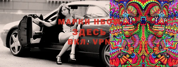 прущие грибы Белокуриха