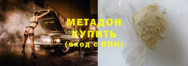 прущие грибы Белокуриха