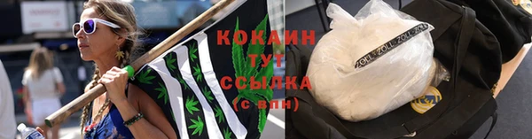 прущие грибы Белокуриха