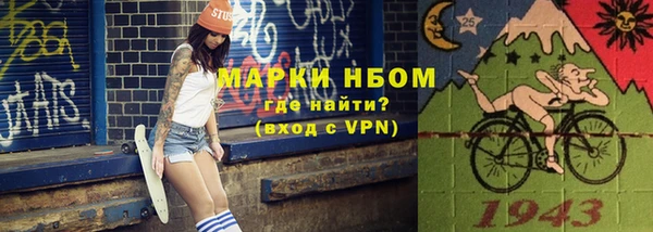 прущие грибы Белокуриха