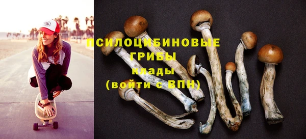прущие грибы Белокуриха