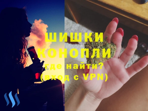 прущие грибы Белокуриха
