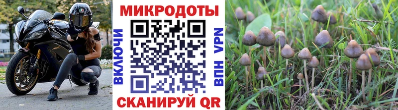 Псилоцибиновые грибы мухоморы наркота Валуйки